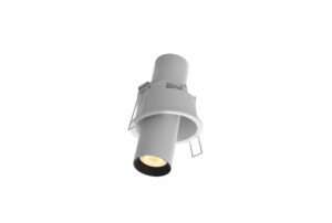 adjustable and recessed white spotlight with black trim